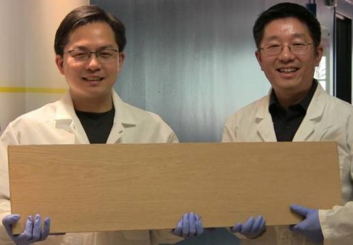 Un nuevo tratamiento de madera que la transforma en sustituto del acero